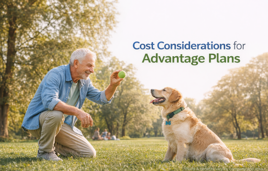 Cost considerations for MVP Plans