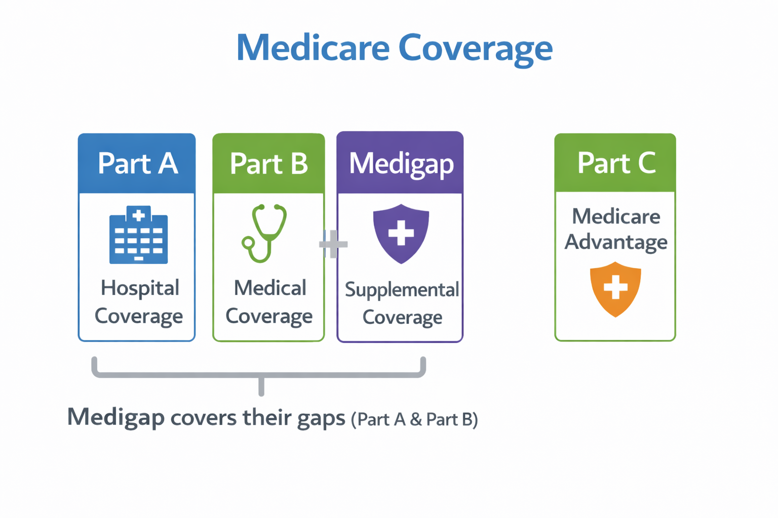 Common Medicare Questions Answered