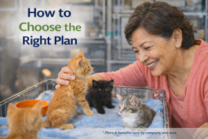 How to find the best Medicare Plans for your needs